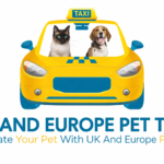 Pet taxi for UK and Europe